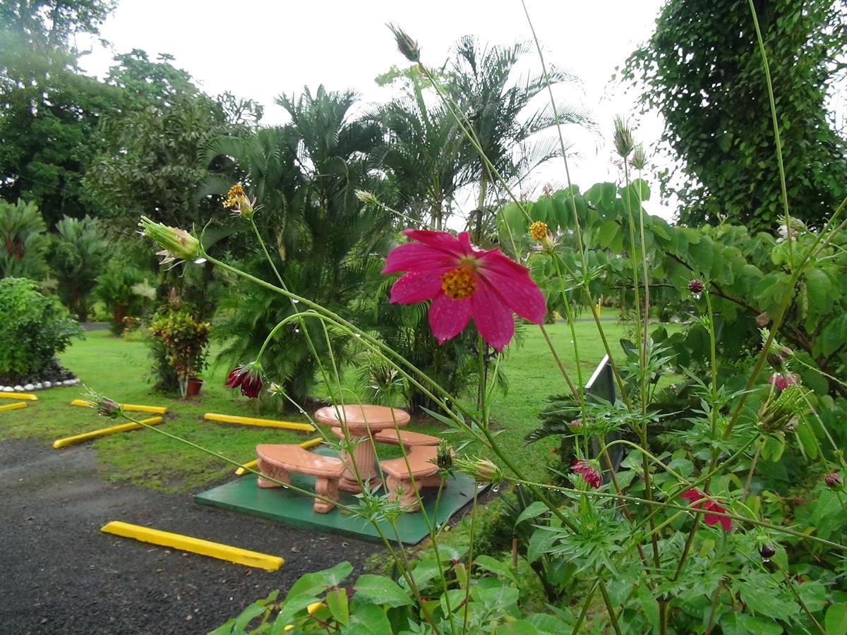 Hotel Vista Al Tortuguero Cariari  Oda fotoğraf